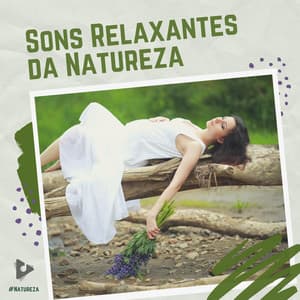 Sons Relaxantes da Natureza - #Natureza