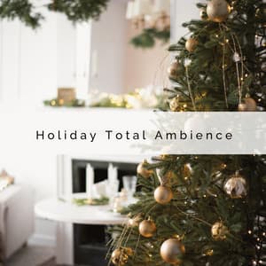 1 0 1 Holiday Total Ambience - Silent Night Sounds