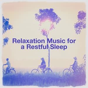 Relaxation music for a restful sleep - Relaxation Study Music