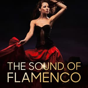 The Sound of Flamenco - Spanish Guitar