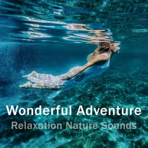 Wonderful Adventure with Relaxation Nature Sounds - Time to Relax, Amazing Wievs, Beach Ambience - Balanced New Age Rhythms