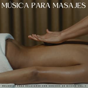 Música Para Masajes: Melodías Para Relajarse Con Sonidos De Bichos Vol. 1 - Sonidos de la Naturaleza JBE