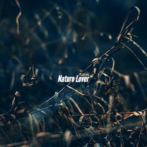 Nature Lover - Sunday Morning Jazz Playlist