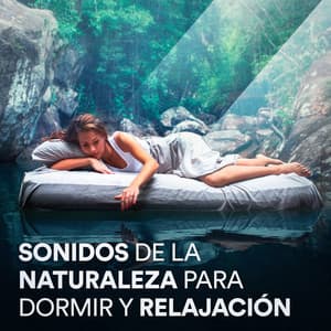 Sonidos de la Naturaleza para Dormir y Relajación - Sonidos de la Naturaleza