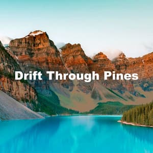 Drift Through Pines - Nature's Noise