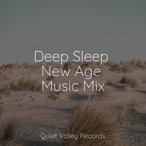 Deep Sleep New Age Music Mix - Relajantes sonidos de lluvia
