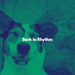 Bark in Rhythm - Cofeehouse Music