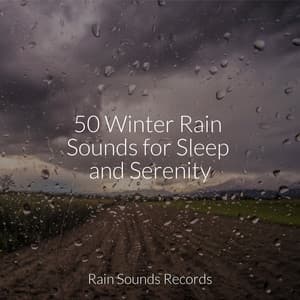 50 Winter Rain Sounds for Sleep and Serenity - Spa Relaxation