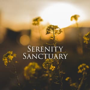 Serenity Sanctuary: Music and Nature for Inner Peace, Well-being, Restful Sleep and Relaxation - Serenidad Academy