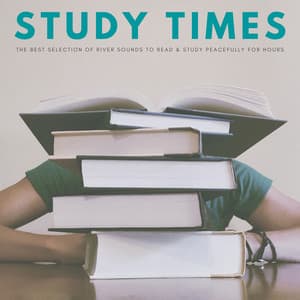 Study Times: The Best Selection Of River Sounds To Read & Study Peacefully For Hours - Focus and Concentration