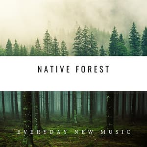 Native Forest: Tribal Harmonies - Everyday New Music