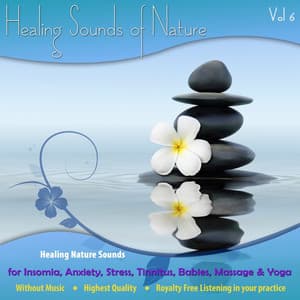 Healing Nature Sounds for Insomnia, Anxiety, Stress, Tinnitus, Babies, Massage and Yoga - Vol. 6 - The Healing Sounds of Nature