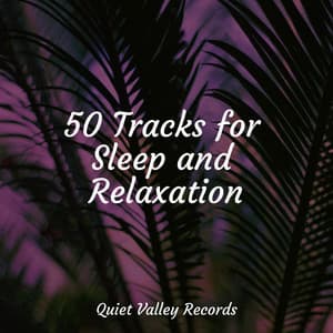 50 Tracks for Sleep and Relaxation - Ambient Arena