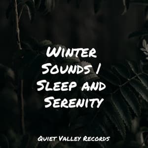 Winter Sounds | Sleep and Serenity - Amazing Spa Music