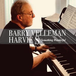 Something Wonderful - Barry Velleman