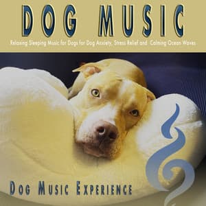 Dog Music: Relaxing Sleeping Music for Dogs for Dog Anxiety, Stress Relief and Calming Ocean Waves - Dog Music
