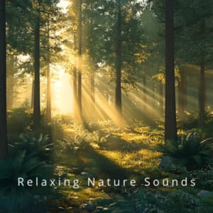 Sleep by Nature: Restful Ambient Sounds - Relaxing Nature Sounds