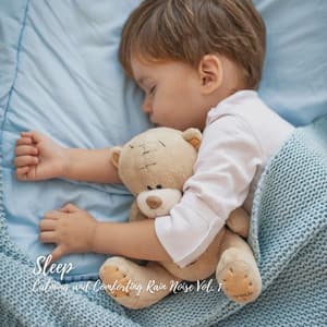 Sleep: Calming and Comforting Rain Noise Vol. 1 - Night Sounds Association