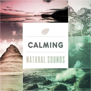 Calming Natural Sounds – Relaxing Nature Sounds, Healing Meditation, Inner Peace, Serenity Music - Bruits naturels