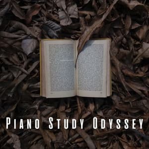 Piano Study Odyssey: Harmony of Learning - Piano for Studying