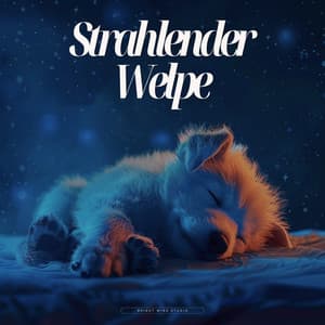 Strahlender Welpe - Entspannende Musik für Hunde