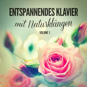 Entspannendes Klavier mit Naturklängen - Entspannungsmusik & Wellness