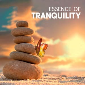 Essence of Tranquility: Meditation Music, Yoga, Study and Sleep - The Flowing Mind