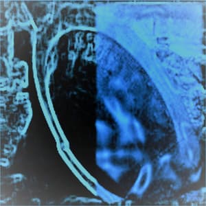 Desolation of the Bells - Molecularly Unstable Vestibules