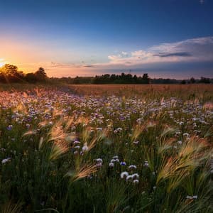 Orchestra Of Endless Horizons: A Symphony For The Mind And Spirit - Bertie Lambert