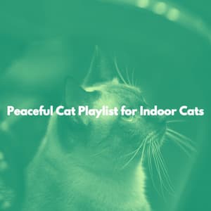 Peaceful Cat Playlist for Indoor Cats - Vintage Cafe Lounge