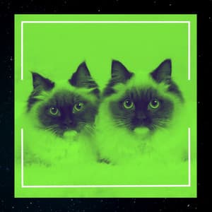 Music for Cat Memories - Cat Music Waves