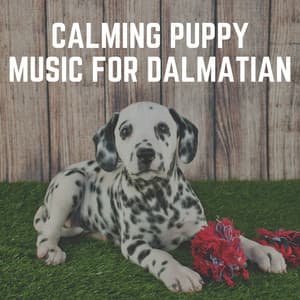 Calming Puppy Music for Dalmatian - Music for Calming Dogs