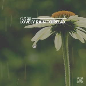 Lovely Rain to Relax - Natsound