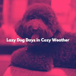 Lazy Dog Days in Cozy Weather - Jazzy VIbes for Study Time