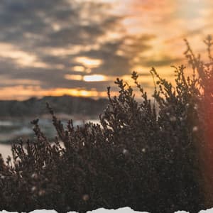 Rainy Daydreams - Inspiring Tranquil Sounds