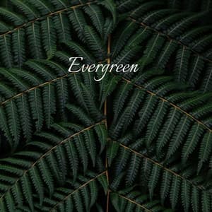 Evergreen - Natural Samples