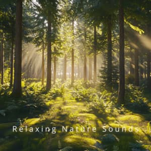 Ocean Dreams Relaxing Waves for Restful Nights - Relaxing Nature Sounds