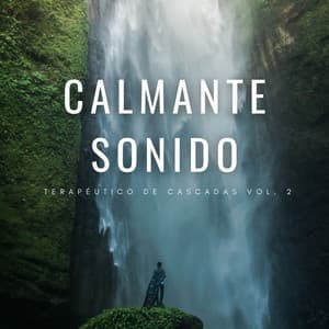 Calmante Sonido Terapéutico De Cascadas Vol. 2 - Registradores de campo natural