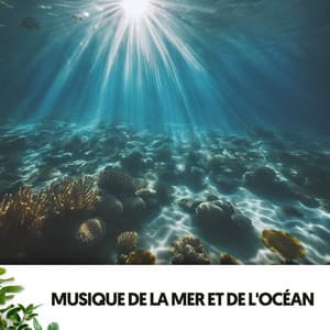 Musique de la Mer et de l'Océan : Mélodies d'Eau et de Sel - Ruido Blanco Hart