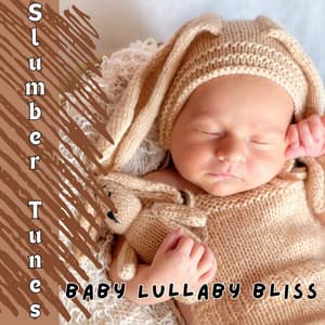 Slumber Tunes - Baby Lullaby Bliss - Noise Makers