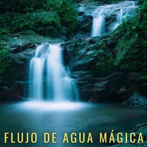 Flujo De Agua Mágica - Ambiente de agua