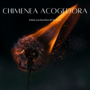 Chimenea Acogedora: Calme Los Sentidos De Su Bebé - Música de chimenea