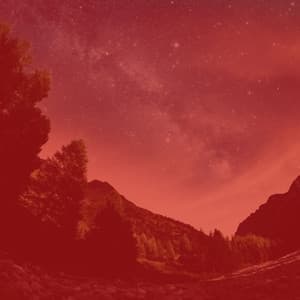 Music for Creative Daydreams - No Drums Jazz - Working from Home Playlist