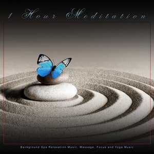 1 Hour Meditation: Background Spa Relaxation Music, Massage, Focus and Yoga Music - Meditation Music Playlist
