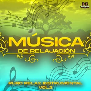Puro Relax Instrumental Vol. 2 - Musica De Relajacion