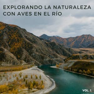 Explorando La Naturaleza Con Aves En El Río Vol. 1 - Grabaciones de la naturaleza