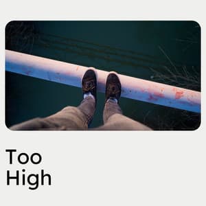 Too High - Lounge Music Café