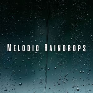 Melodic Raindrops: Sleep Delight with Chill Sound - Sleeping Nature Sound