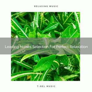 Leading Noises Selection For Perfect Relaxation - Water Sound Natural White Noise / White Noise for Babies