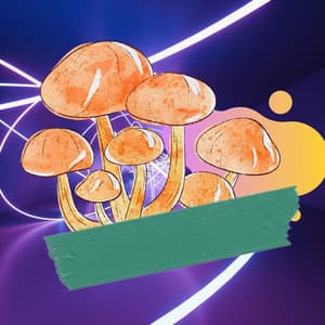 Energetic Music for Your Favorite Memories - Latin Music - Soft Jazz Classics